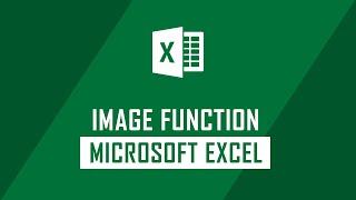 How to Use the Image Function on Microsoft Excel | Excel Tips