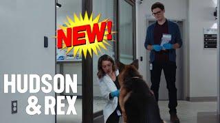 Hudson & Rex [2024] Season  Hudson & Rex full episodes 2024 New Today  Hu125