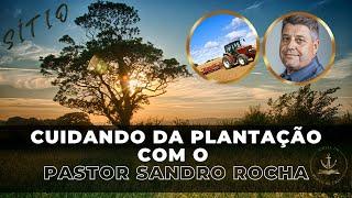 CUIDANDO DA PLANTAÇÃO COM O PASTOR SANDRO ROCHA