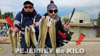 Hermosa PESCA de PEJERREY en el RIO DE LA PLATA, MATUNGOS y UN VIDEO para APRENDER del PEJERREY!