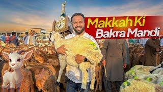 Bakra Mandi in MAKKAH   HAJJ 2024, Eid al Adha in Makkah Saudi Arabia