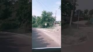 Думбравень