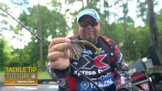 Bill Lowen breaks down the May Fly Hatch