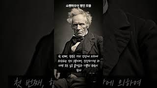 쇼펜하우어의 명언을 통해 삶의 의미 찾기