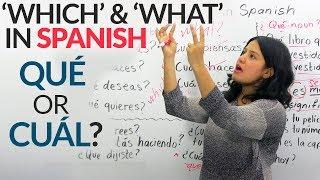 "What" & "Which" in Spanish: QUÉ or CUÁL?