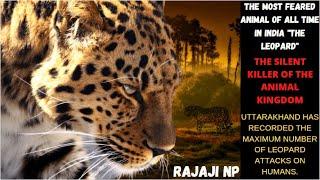 My First Leopard Sighting | Rajaji National Park Part 1 | Ranipur Zone | Haridwar | उत्तराखंड |