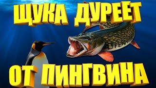 ПИНГВИН порвал ЩУКУ в КЛОЧЬЯ. Самый рабочий воблер из всех самодельных приманок.