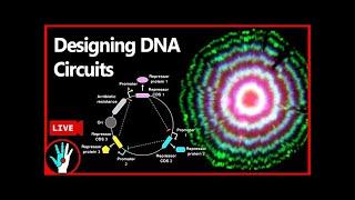 [LIVE]  Programming DNA circuits | Learn Real Genetic Engineering - Part 3