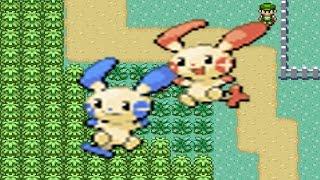 How to find Plusle and Minun in Pokemon Emerald