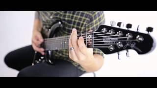 VITALISM | BIPOLARITY | GUITAR PLAYTHROUGH