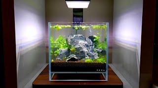 AQUASCAPING LOW TECH NANO PLANTED AQUARIUM - Blue Dream Shrimp - 2 Gallon