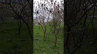 23 квітня 2023 р.