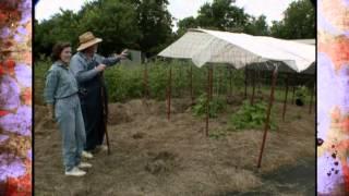 Home Garden of Darrell Merrell