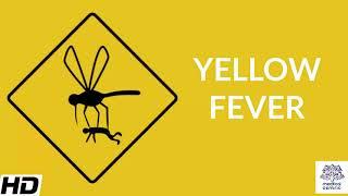 Yellow Fever, Causes, Signs and Symptoms, Diagnosis and Treatment.