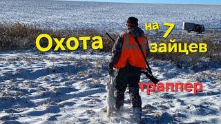 Охота на 7 зайцев. Страсть