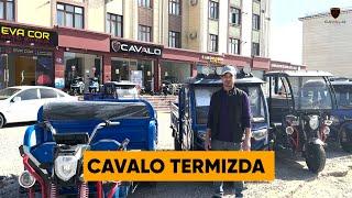 Termizliklar qanisizlar - Cavalo Termizda, to'liq abzor