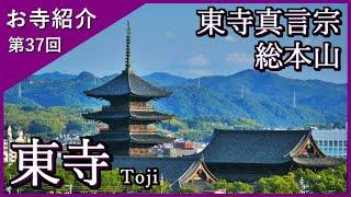 【お寺紹介37】東寺・京都 －東寺真言宗 総本山－ 14分でお寺を案内します。