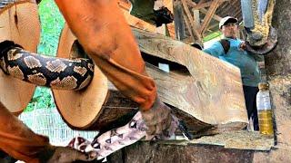 Terrifying Fear While Sawing Black Teak Wood at the Sawmill