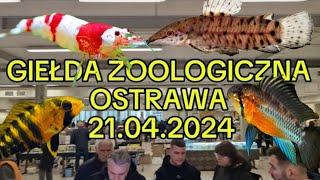 OSTRAWA - największa akwarystyczna giełda w Czechach!
