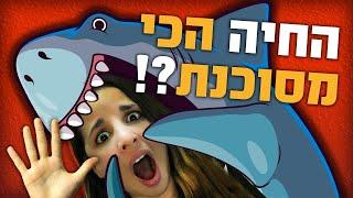 החיה הכי מסוכנת בעולם? לא מה שחשבתם!