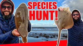 Bristol Channel Species Hunt - Sea Fishing For As Many Species As Possible