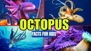 All About The Octopus - Facts for Kids