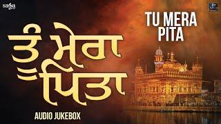 Tu Mera Pita | Nonstop Shabad Kirtan Gurbani Audio Jukebox | Hazuri Ragi Sri Darbar Sahib