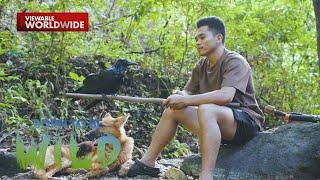 Isang uwak mula Negros Occidental, best friend ng isang residente?! | Born to be Wild