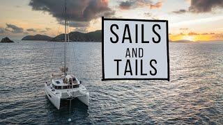 7 Days of Sailing and Fly Fishing in the BVI