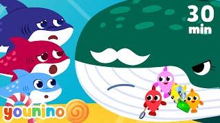 Baby Shark Song | 30 Minute Younino Nursery Rhymes & Kids Songs