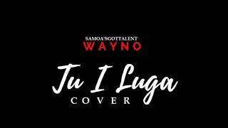 Wayno_Tu i luga Cover [ official HQ Audio 2018 ]