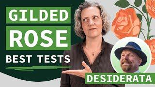 Best Tests for Gilded Rose Kata | Kent Beck’s Desiderata