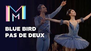 Clip of Sleeping Beauty: Bluebird Pas de Deux - The Royal Ballet | Marquee TV