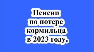 Пенсии по потере кормильца в 2023 году.