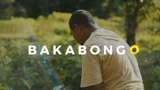 BAKABONG (untuk papa)