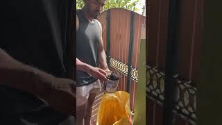 RATS in My Coconut Tree?!  + They Almost Got My Washing Machine Too!