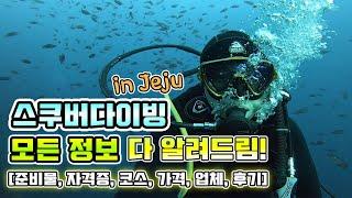 제주도 스쿠버다이빙 여행의 모든것! 가격, 자격증, 코스, 준비물, 업체 추천, 후기! #제주,#서귀포,#스쿠버다이빙,#내돈내산,#쿨다이브,#COOLDIVE