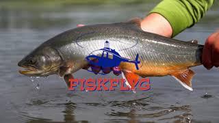 Fiskflyg sommarfiske