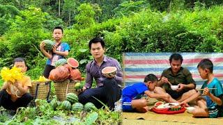 Pumpkin flowers bloom a lot, Watermelons ripen in the garden / Cook simple dishes