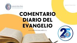  Reflexiones del Evangelio: 15 de enero de 2025 - Inspiración diaria sobre las escrituras