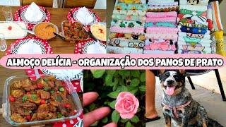 PASSEI ROUPAS - FIZ ALMOÇO PRA SOGRA E SOGRO - ORGANIZAÇÃO DOS PANOS DE PRATO - MARYA ALVES