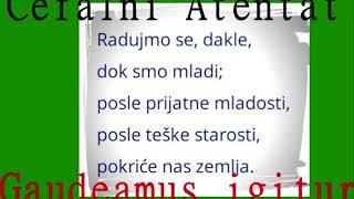 Gaudeamus igitur - Cefalni Atentat