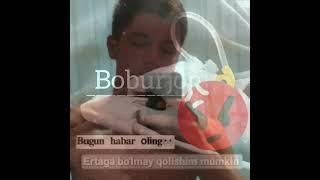 bobur