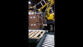 3 - Fully Integrated Case Handling, Robot Palletizing & In-Line Stretch Wrapping