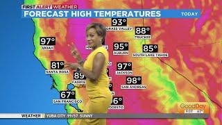 Tracy Humphrey says it's a "HEATWAVE"...and dances?