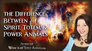 Spirit Animals Explained | The Difference Between Spirit, Totem, & Power Animals