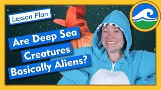 Are Deep Sea Creatures Basically Aliens? - Lesson Plan