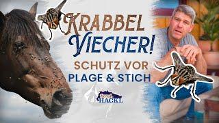 Pferdebremsen, Kriebelmücken & Co: SCHÜTZE dein PFERD nachhaltig I Bernd Hackl erklärt! 
