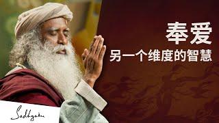 奉爱，智慧的另一个维度 | Sadhguru 萨古鲁