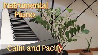 Calm and Peaceful Piano | Instrumental Music to Calm and Pacify